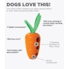 carrot-stuffer-67674_1260402815