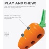 carrot-stuffer-67674_1626730258