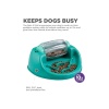 lp70648-dog-spin-n-eat